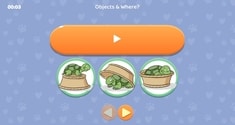 Objects & Where?
